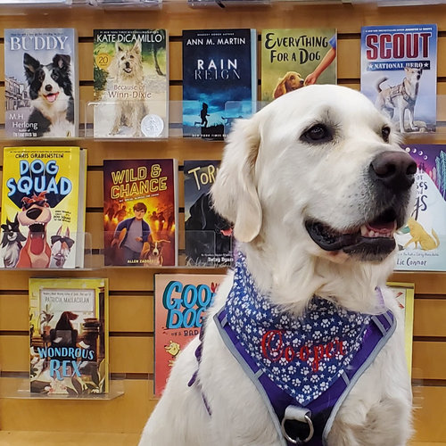 Paws for Tales Therapy Dog, Cooper