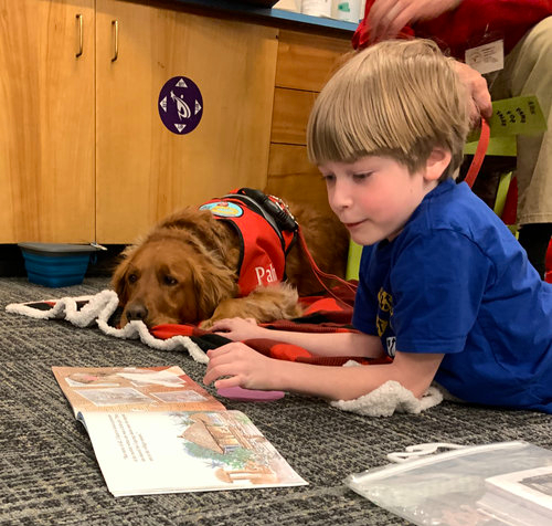 Student reading to Paws for Tales therapy dog, Palmer